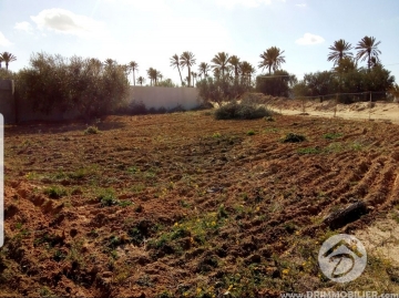  V 229 -  Vente  Terrain Djerba